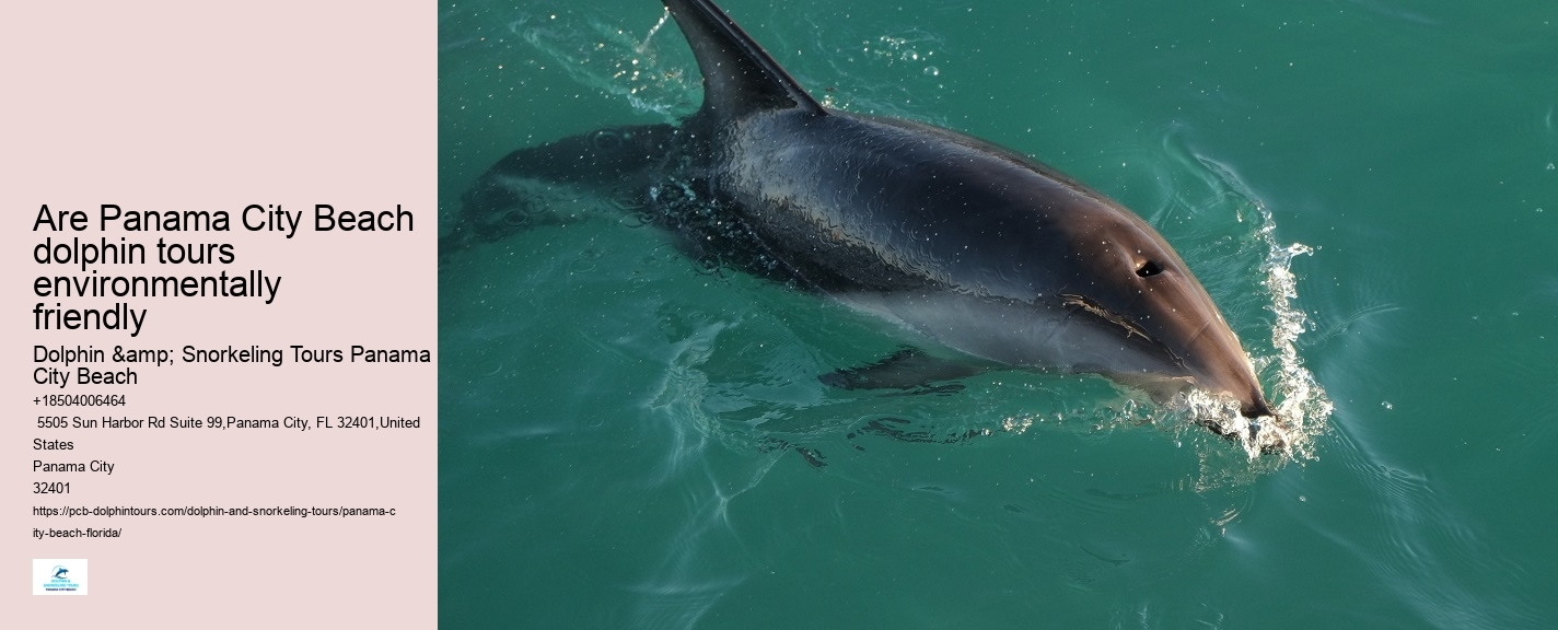 Are Panama City Beach dolphin tours environmentally friendly