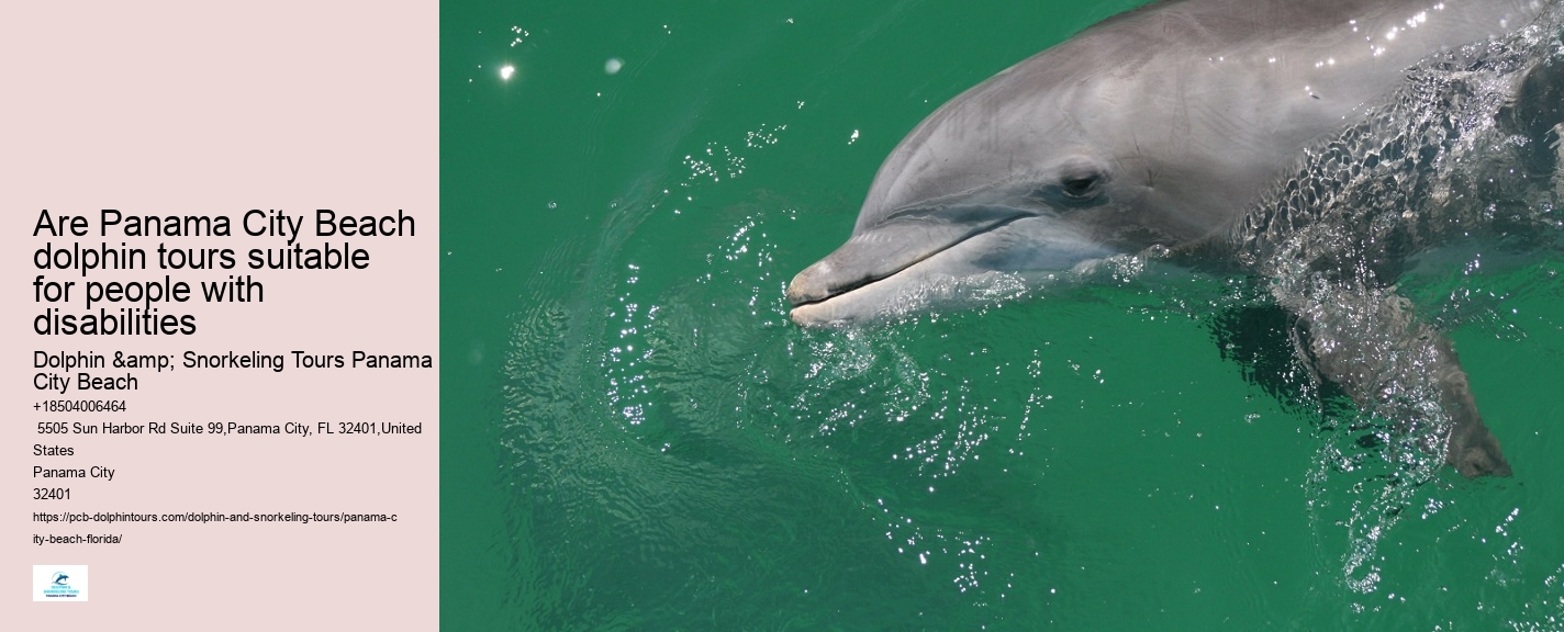 Are Panama City Beach dolphin tours suitable for people with disabilities