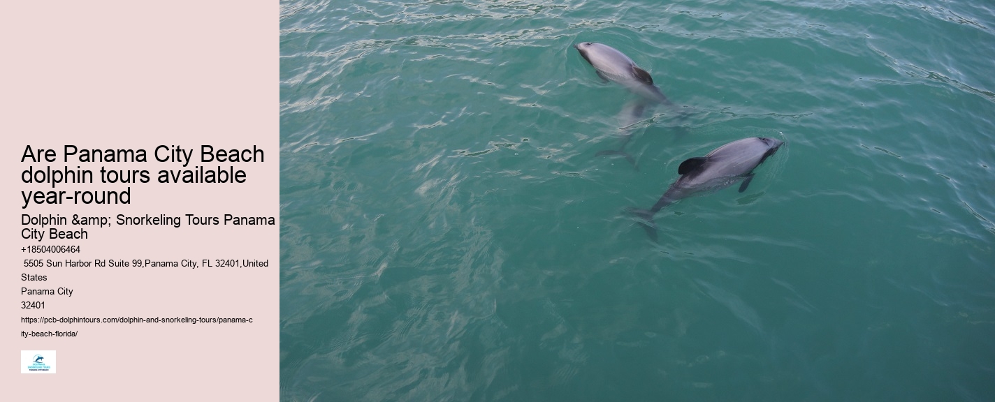 Snorkel Tours