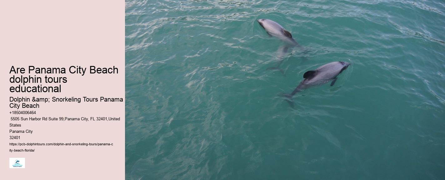 Can I book a private dolphin tour in Panama City Beach