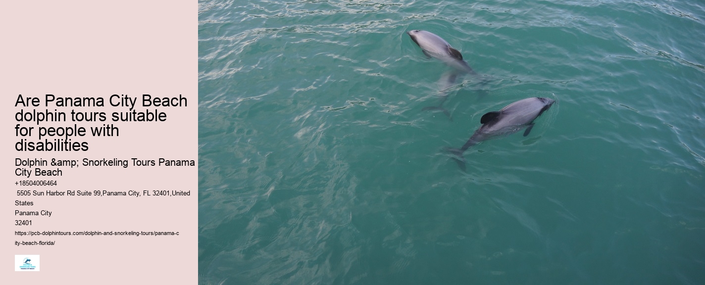 Dolphin Tours In Panama City Florida