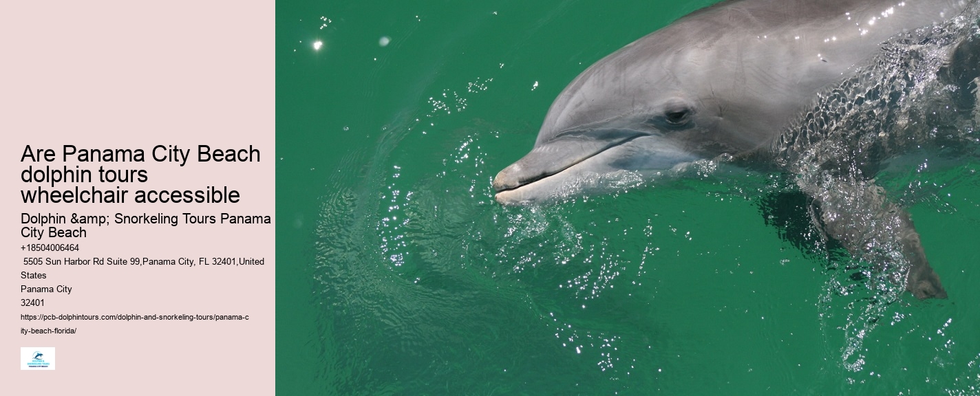 Dolphin Tours Panama City Beach Florida
