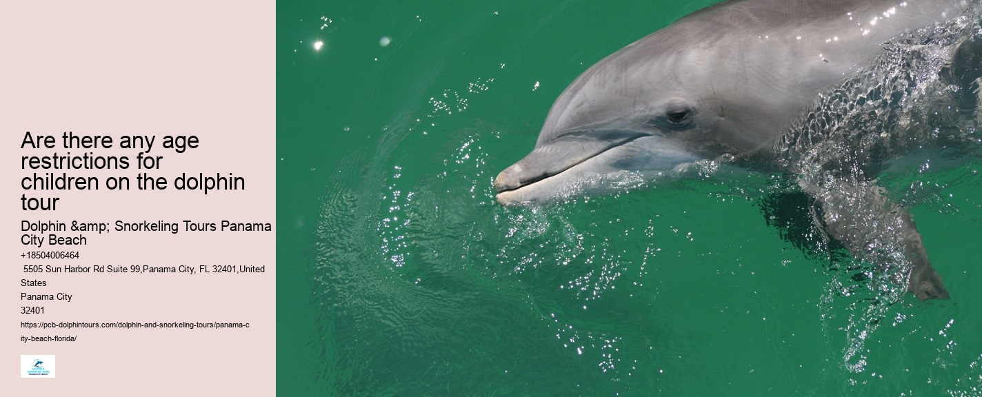 Are there any age restrictions for children on the dolphin tour