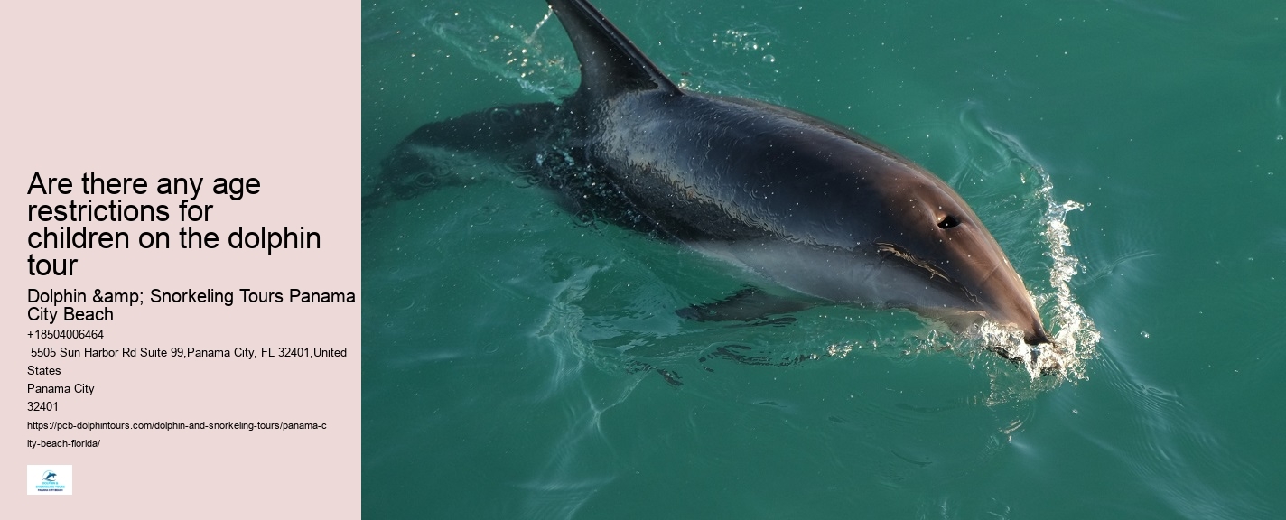 Dolphin Cruise Panama