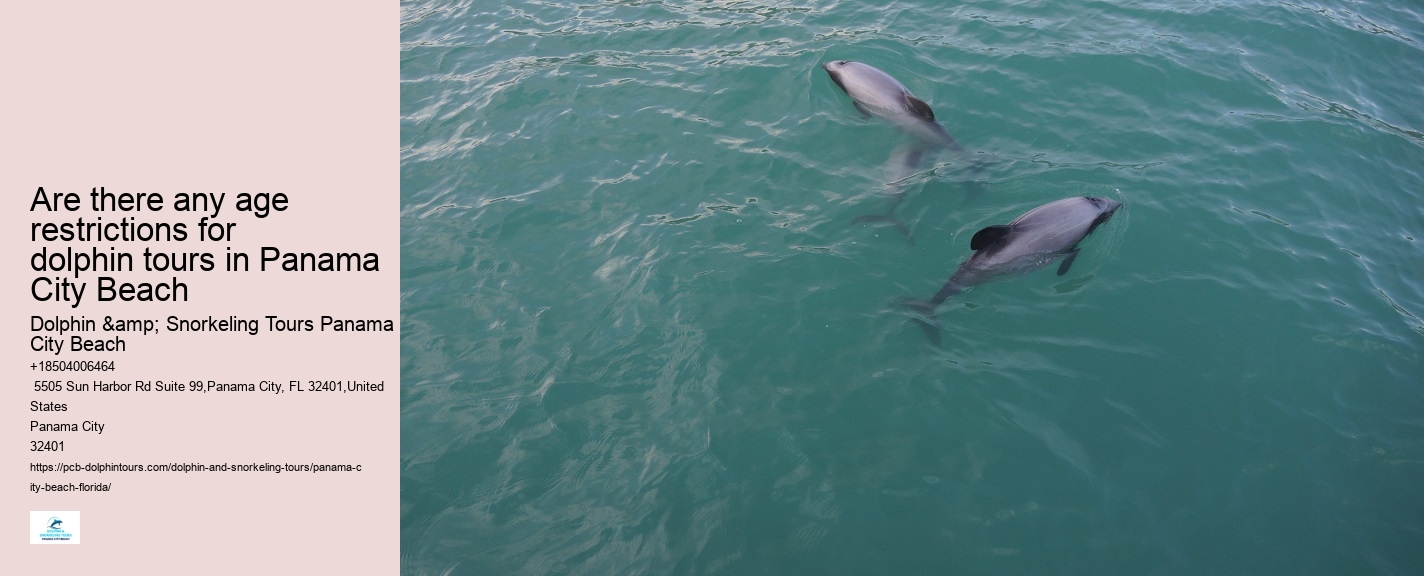 Dolphin watching trips at Panama City Beach