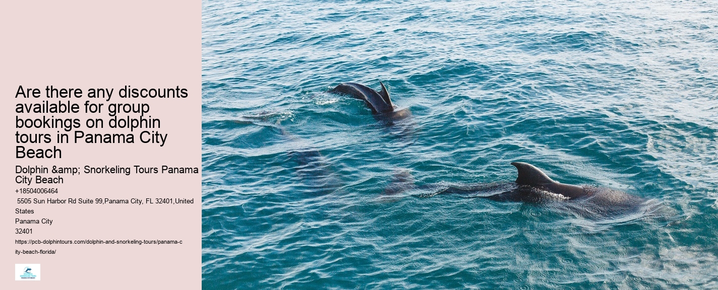 Dolphin boat rides in Panama City Beach