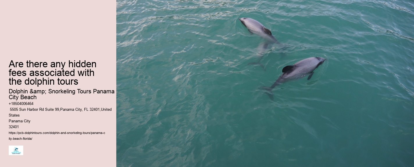 Shell Island Dolphin Tours Panama City Beach Fl