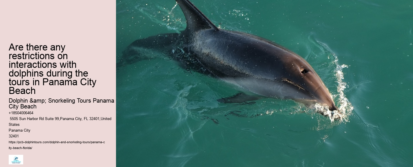 Are there any restrictions on interactions with dolphins during the tours in Panama City Beach