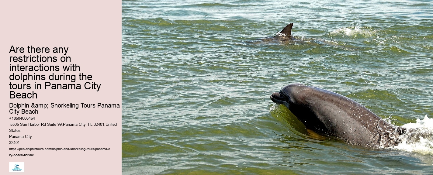 Marine mammal research