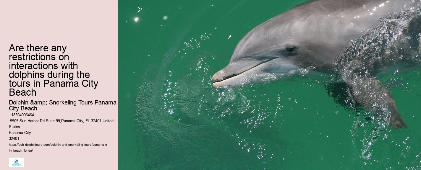 Panama City Beach dolphin boat trips