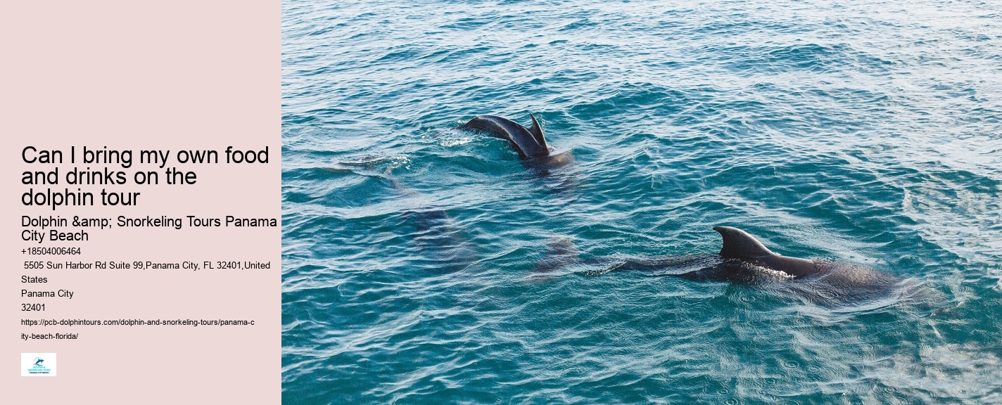 Tours to see dolphins in Panama City Beach