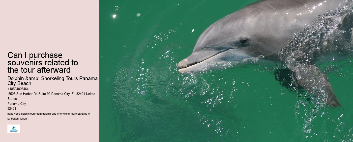 Can I feed the dolphins during the tour
