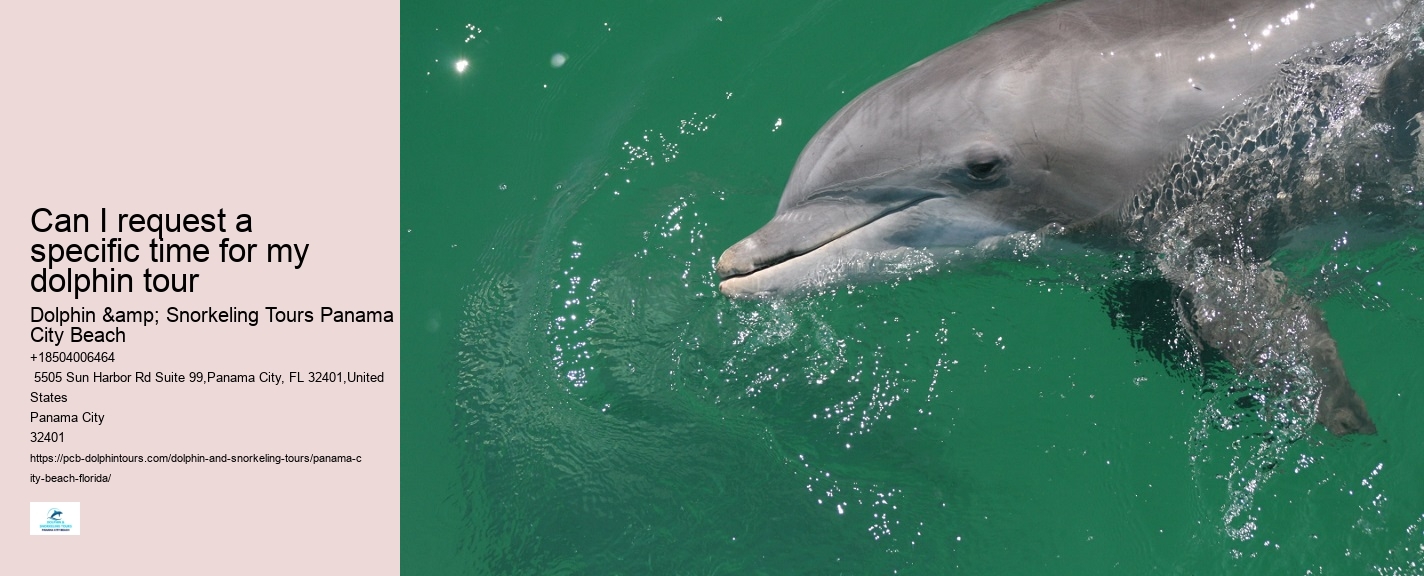 Can I request a specific time for my dolphin tour