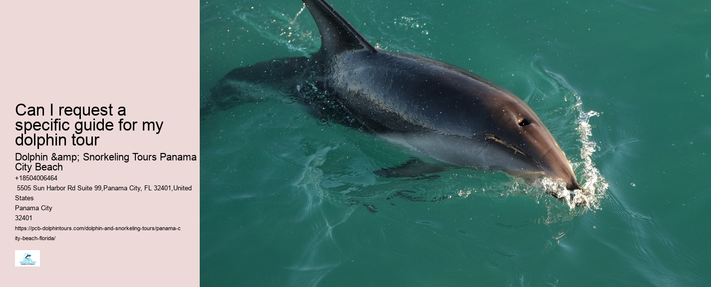 City Beach Dolphin