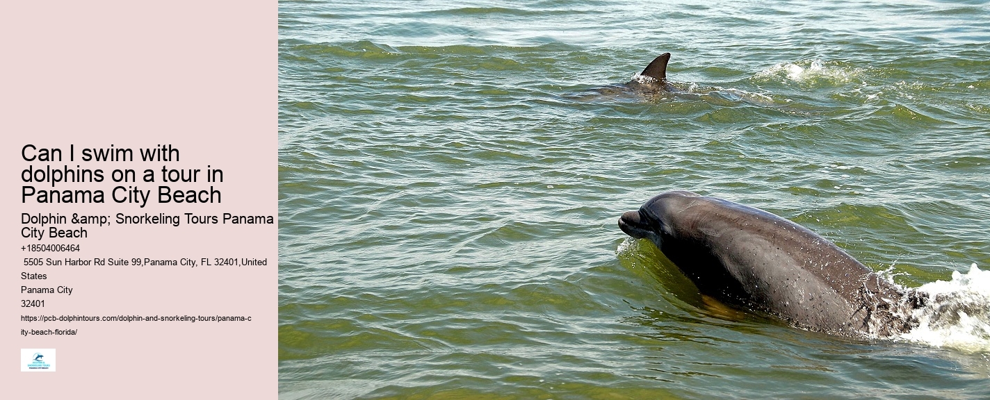 Dolphin Safari Adventures in PCB