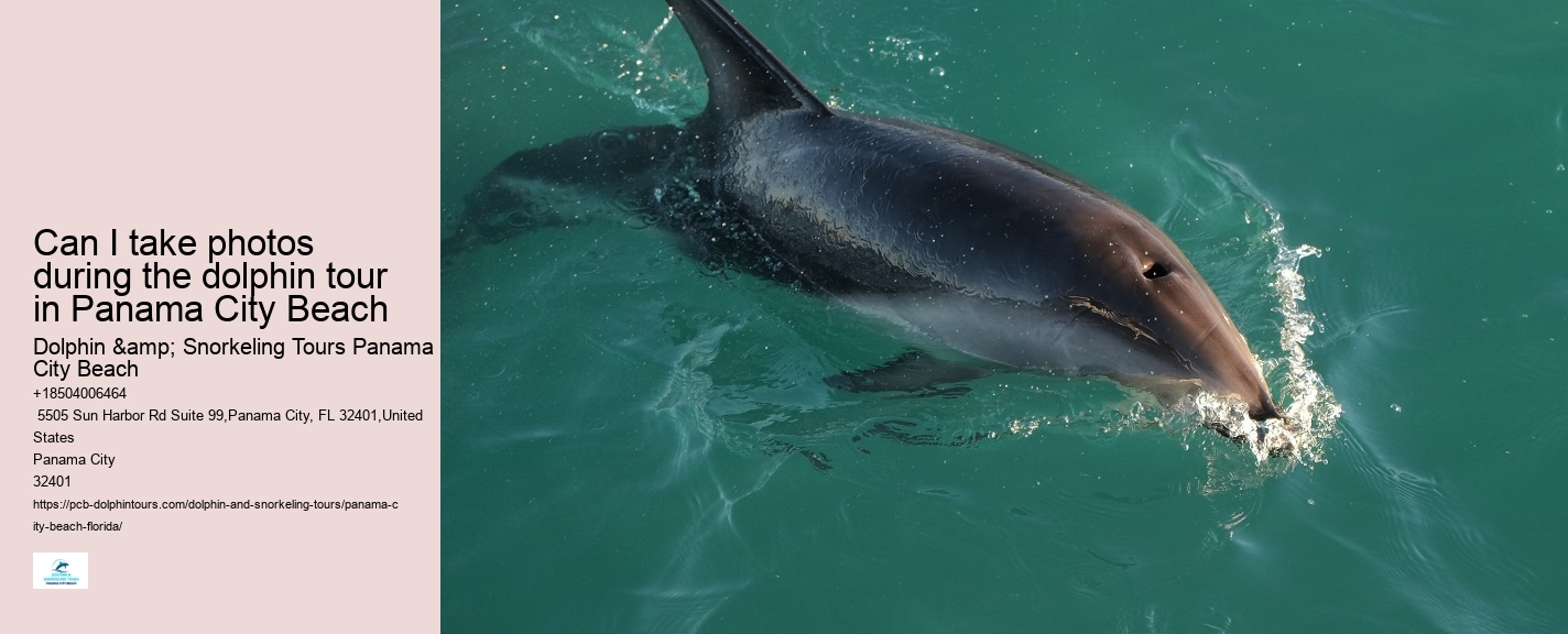 Can I take photos during the dolphin tour in Panama City Beach