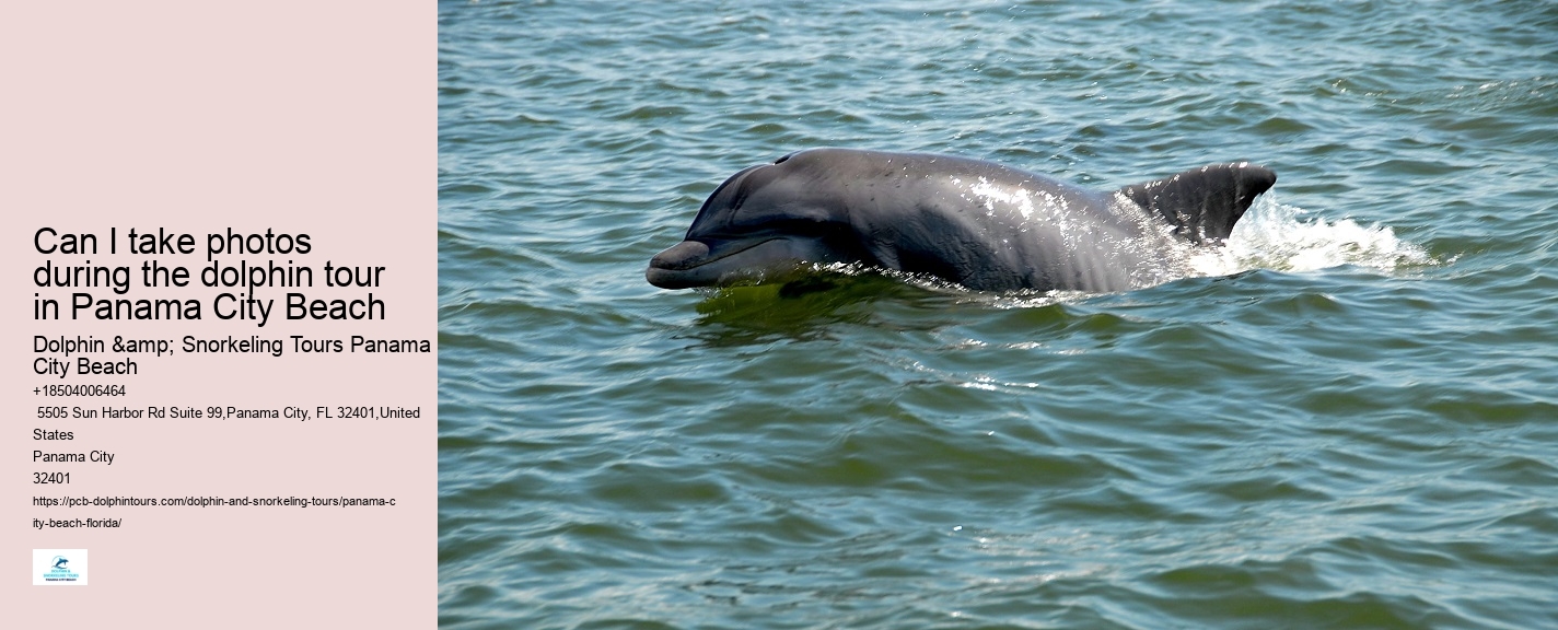 Are Panama City Beach dolphin tours wheelchair accessible
