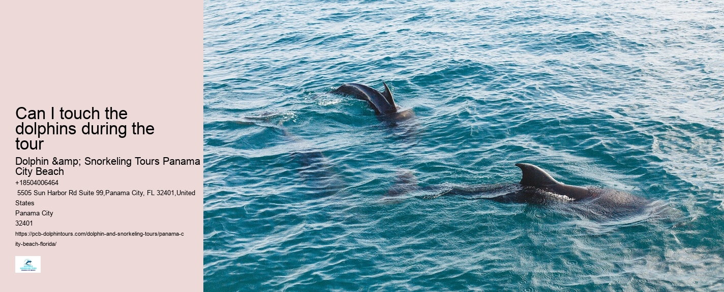 Panama City Beach Florida Dolphin Tours