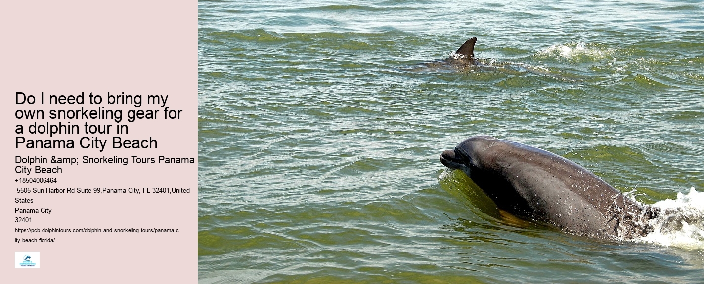 Do I need to bring my own snorkeling gear for a dolphin tour in Panama City Beach