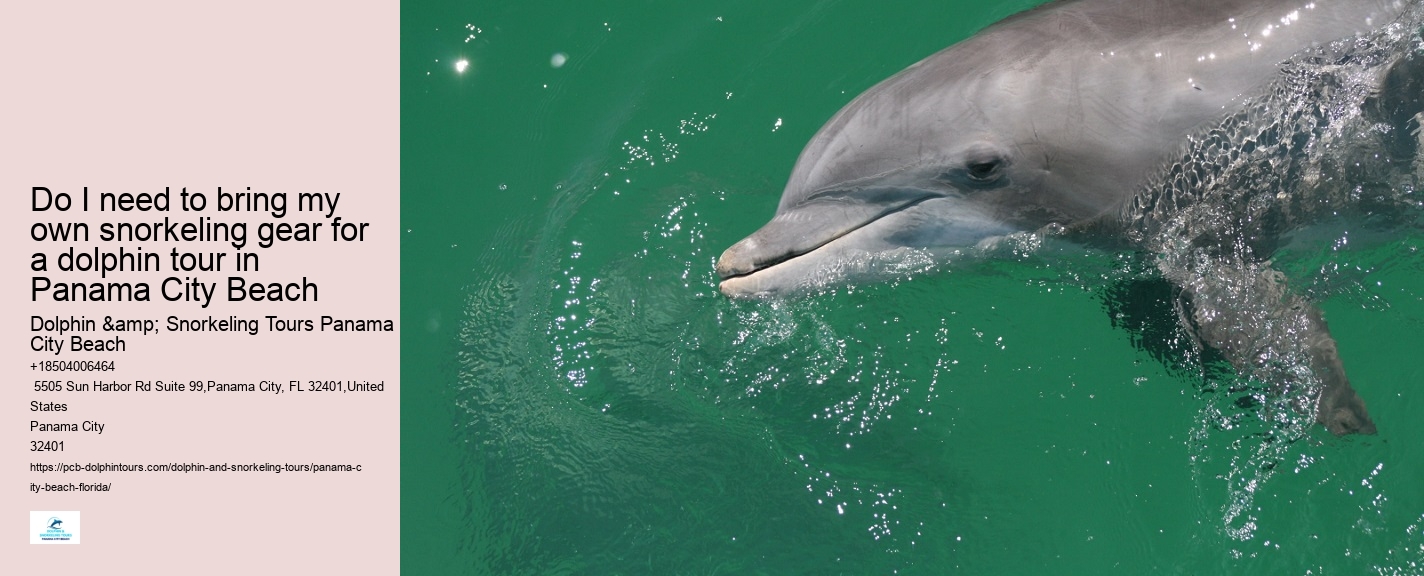 Dolphins In