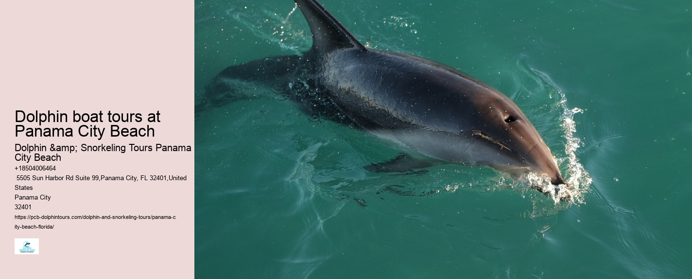 Dolphin boat tours at Panama City Beach