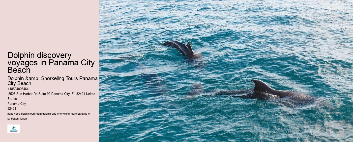 Panama City Beach Dolphin Experience Tours