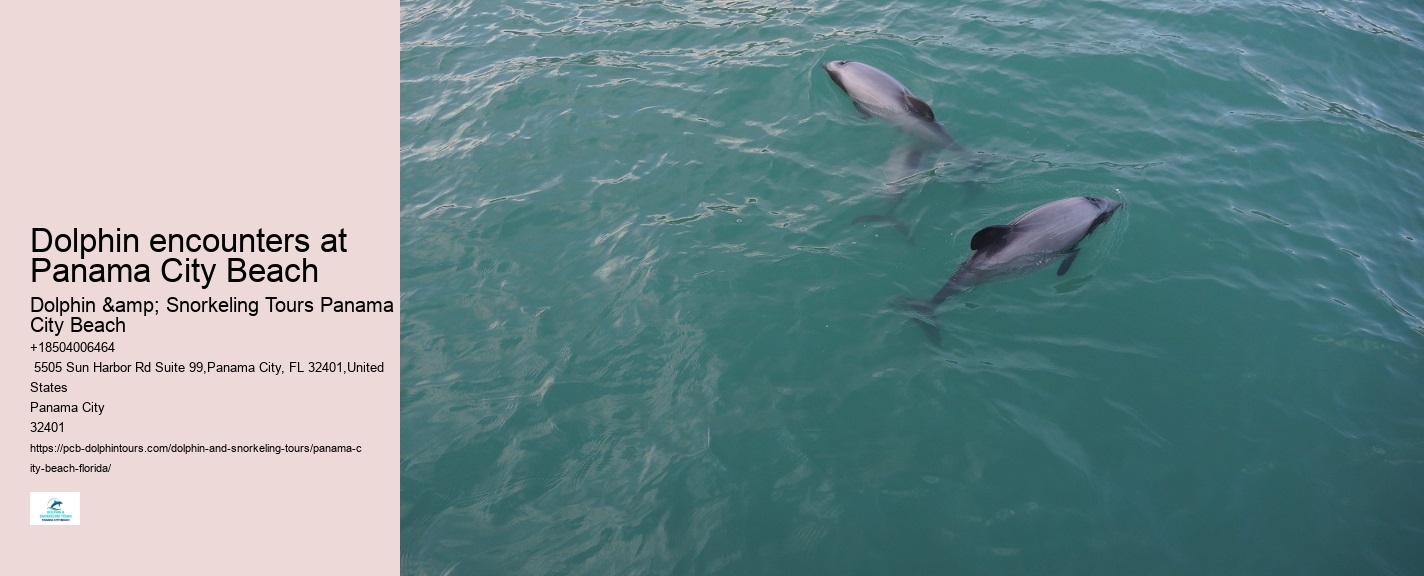 Bottlenose dolphins