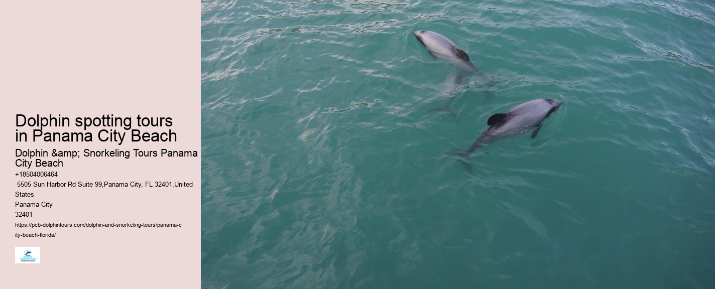 Dolphin Tours Panama City Beach Florida
