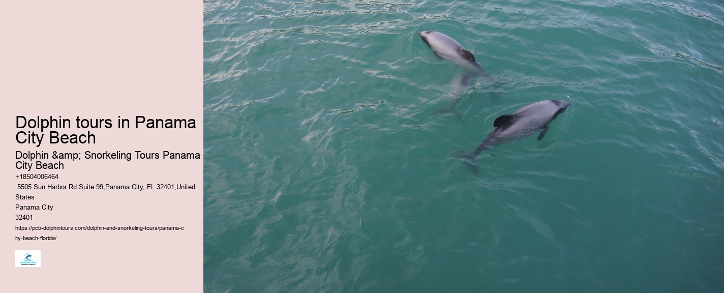 Panama City Beach Dolphin Tours & More Panama City Fl