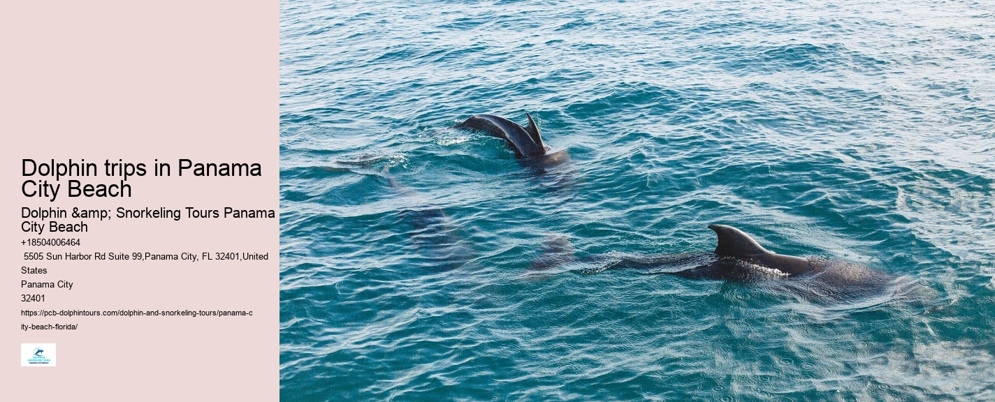 Panama City Beach Dolphin Swim Adventure