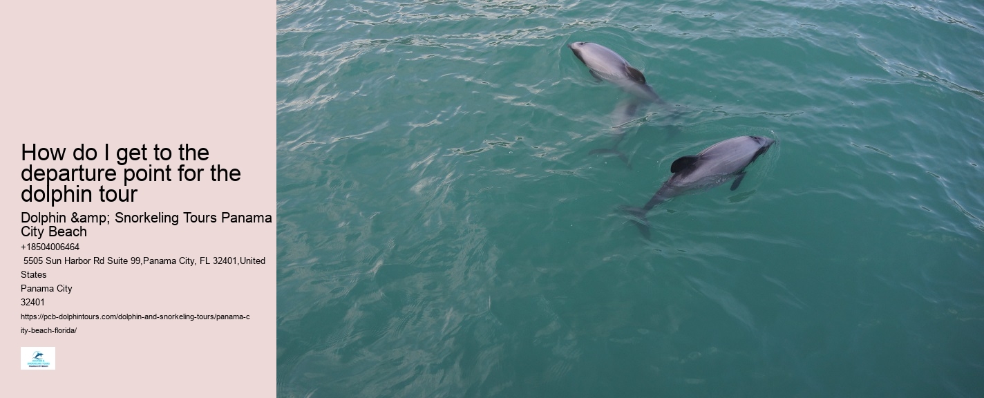 What type of boats are used for dolphin tours in Panama City Beach