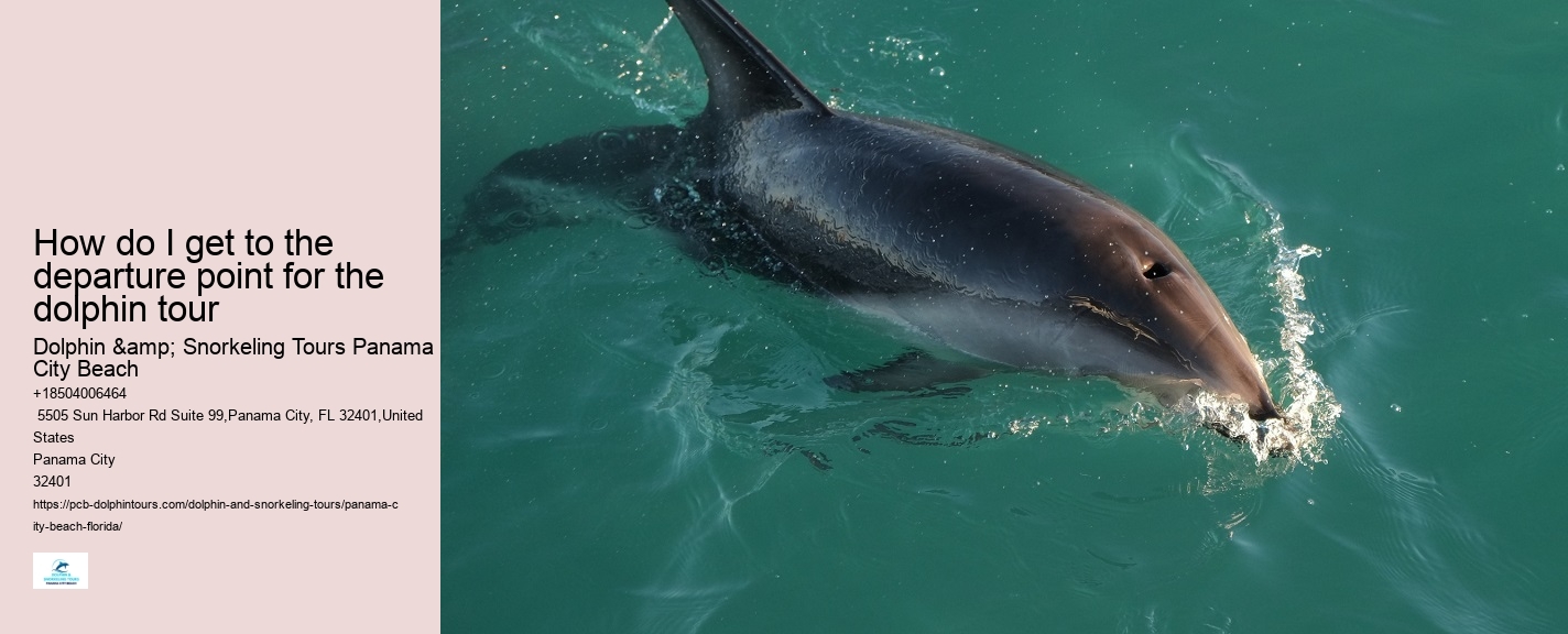 How far in advance should I book a dolphin tour in Panama City Beach
