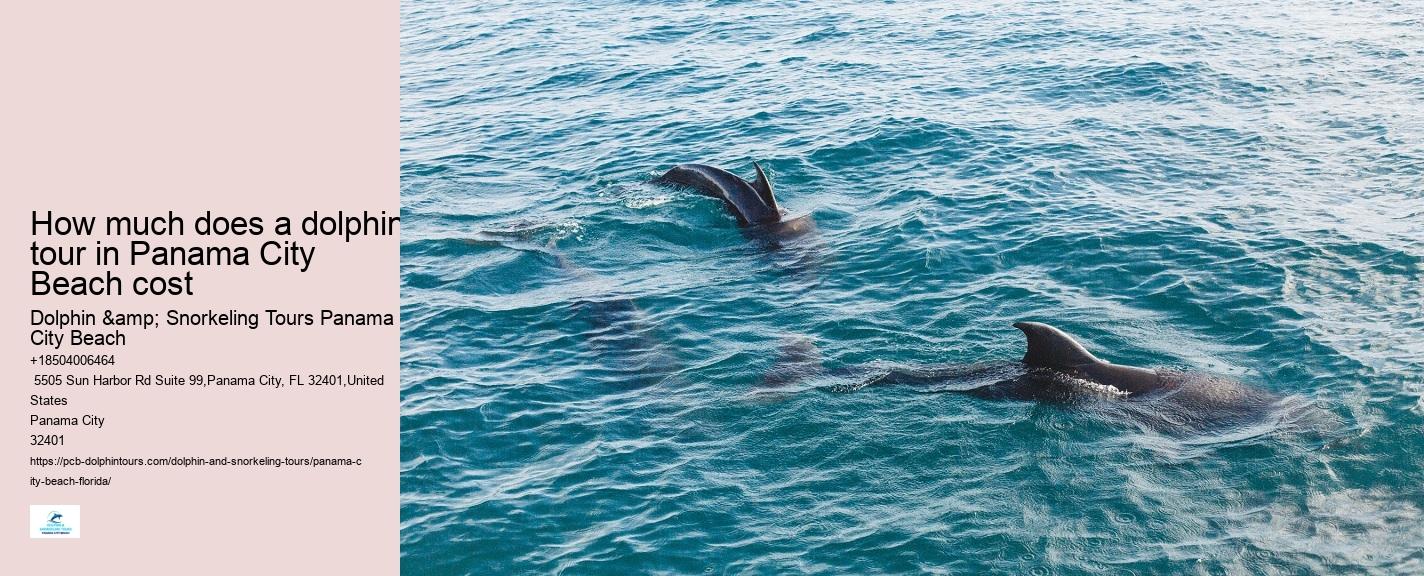 Dolphin Boat Tours Panama City Beach