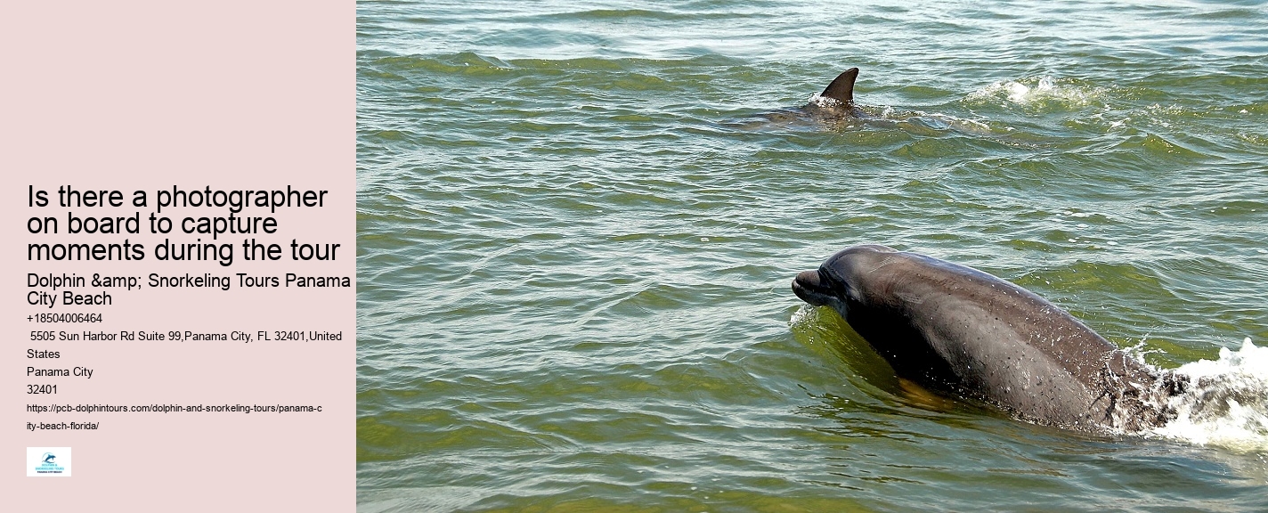 Is swimming with dolphins an additional cost on the tour