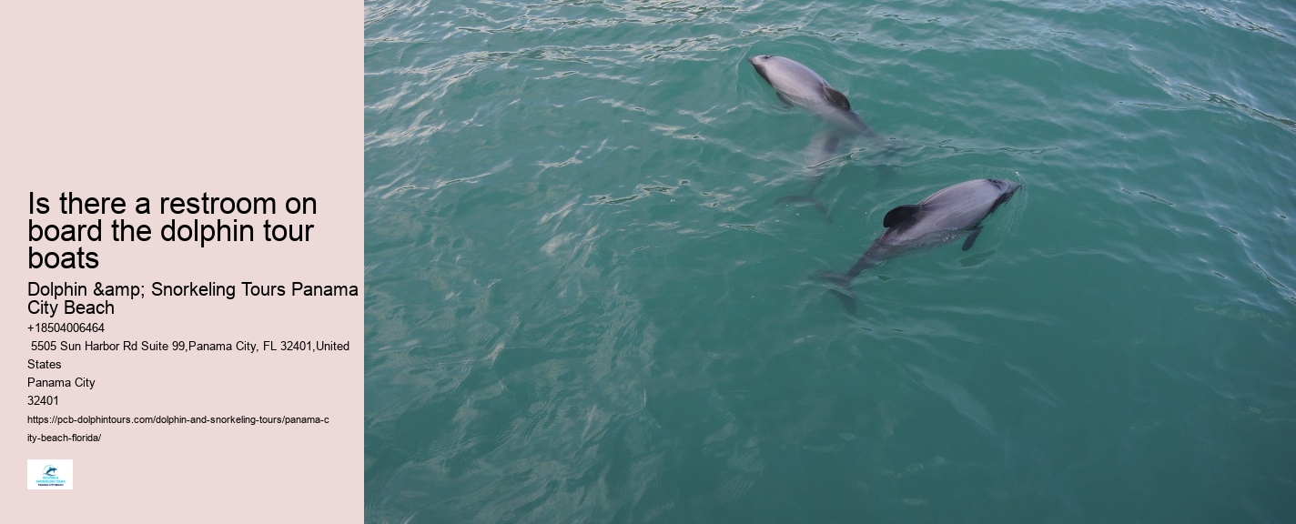What is the duration of the dolphin watching portion of the tour
