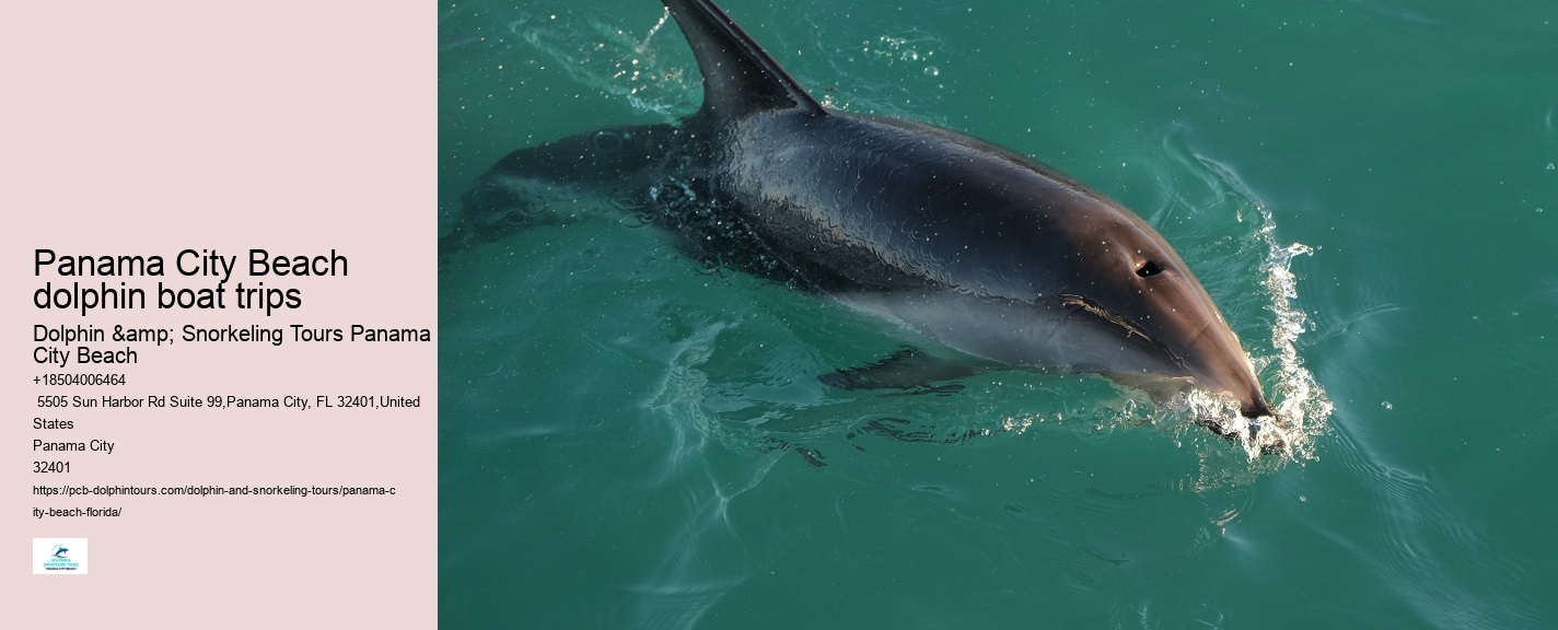 Panama City Beach dolphin boat trips