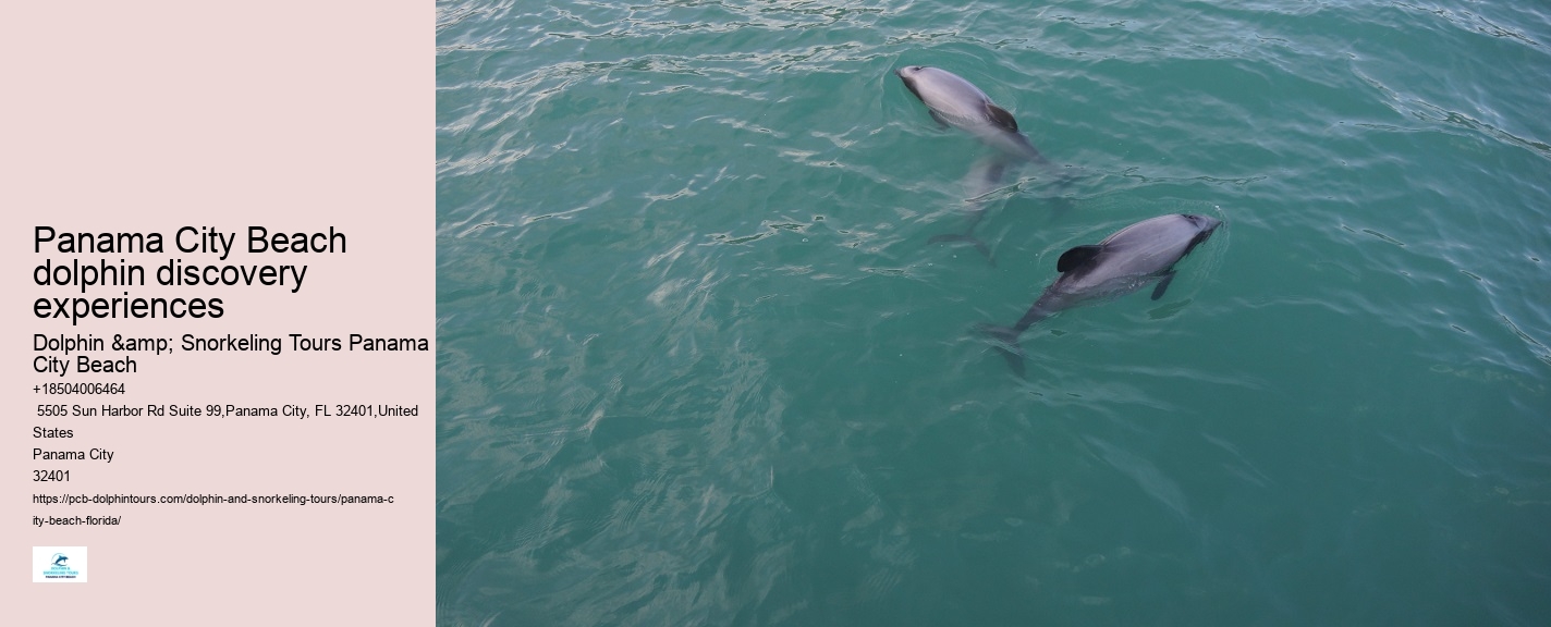 Panama City Beach dolphin discovery excursions