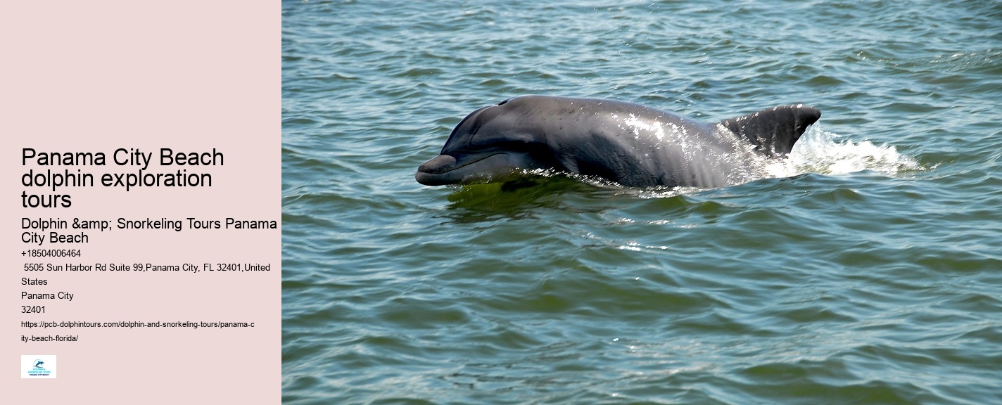 Dolphin Expeditions in Panama City Beach