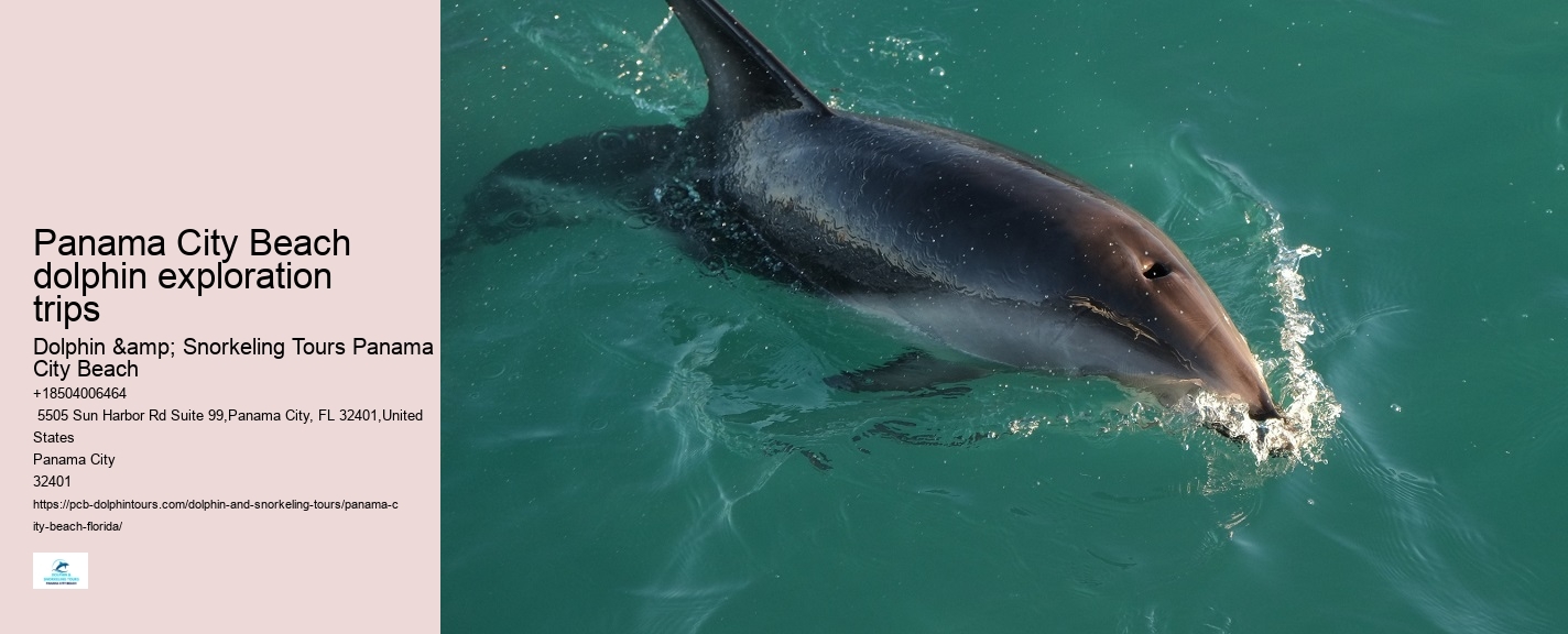 Do I need to bring my own snorkeling gear for a dolphin tour in Panama City Beach