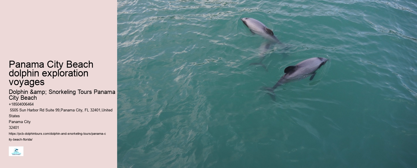 Panama City Fl Boat Tours