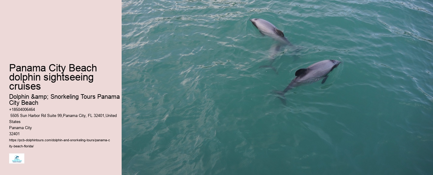 Panama City Beach Dolphin And Snorkel Tours