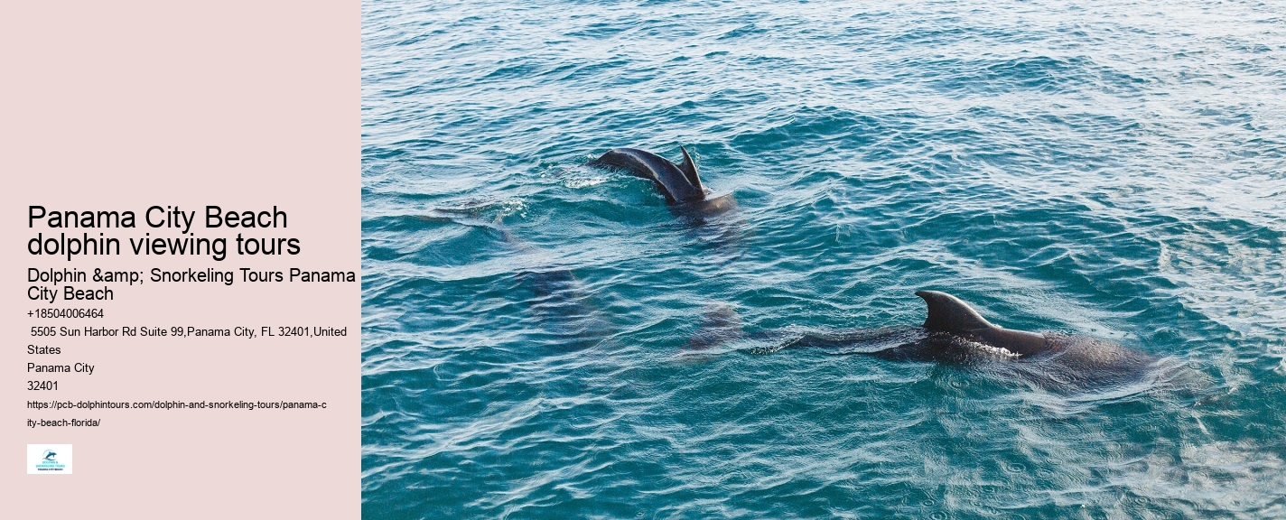 Guided dolphin tours in Panama City Beach