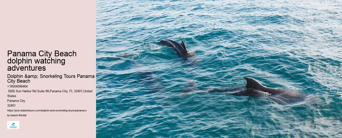 Dolphin Tours Near Me Panama City Beach