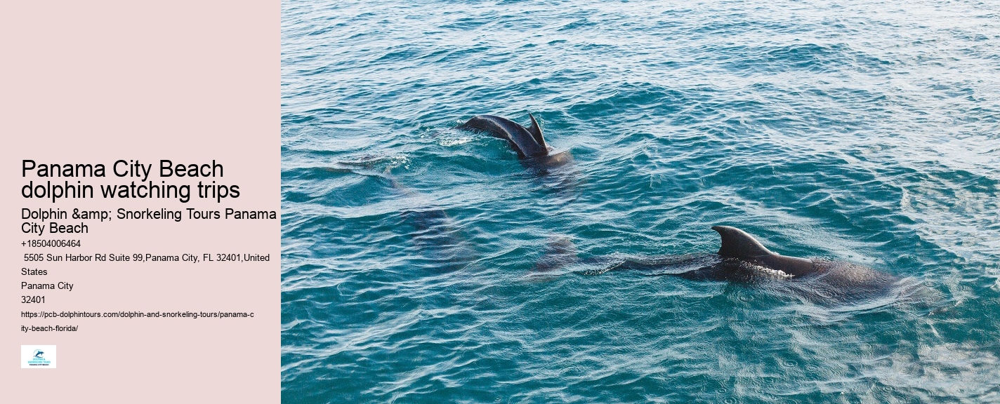 Panama City Beach dolphin watching adventures