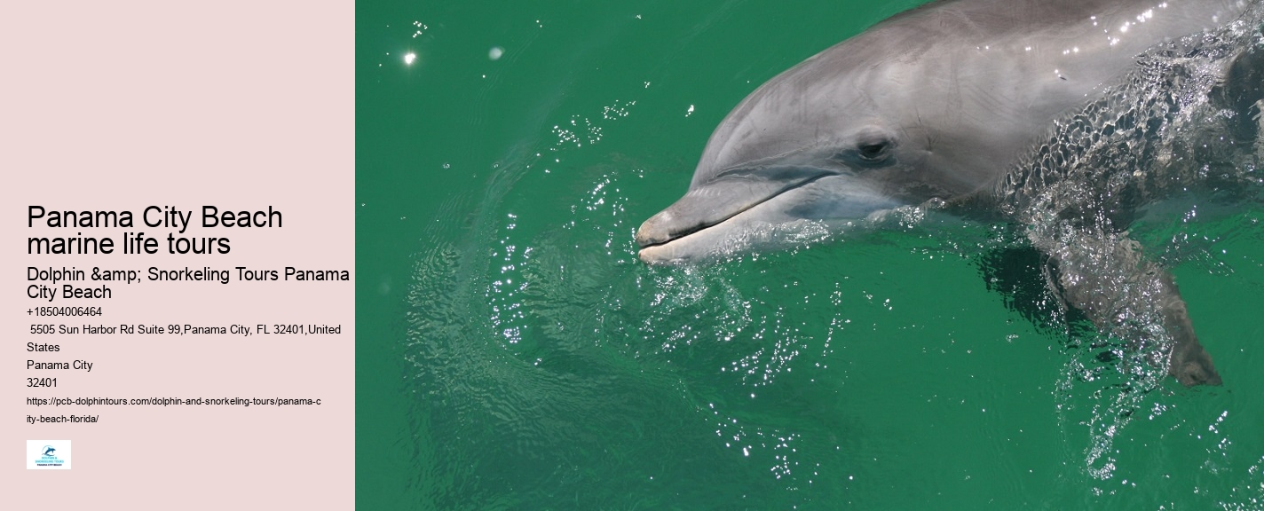 Ocean conservation