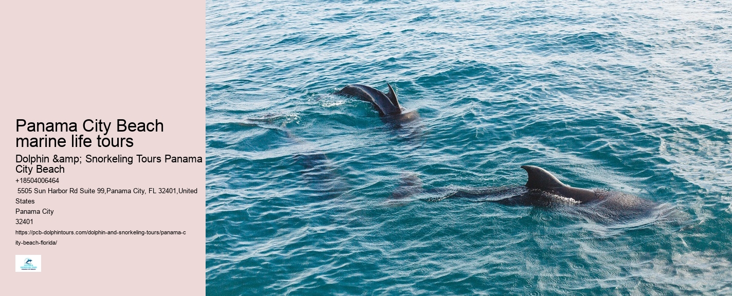 Dolphin Tour