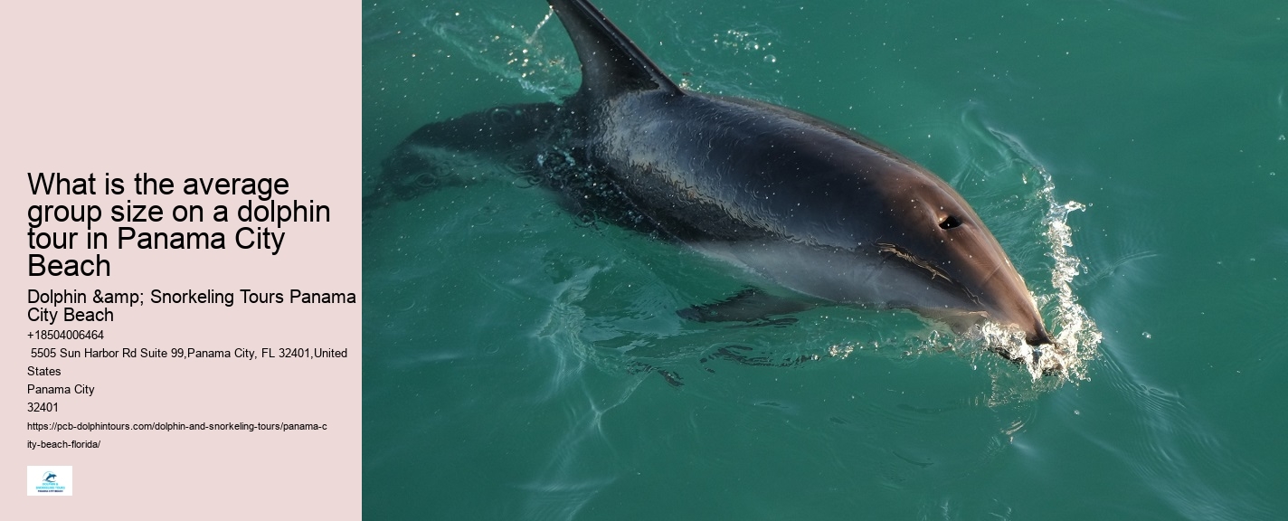 Dolphin Adventure Excursions in PCB
