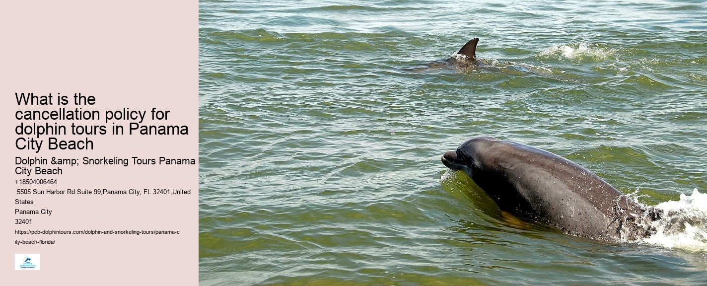 What is the cancellation policy for dolphin tours in Panama City Beach