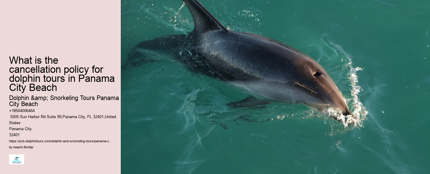 Dolphin Boat Adventures in PCB