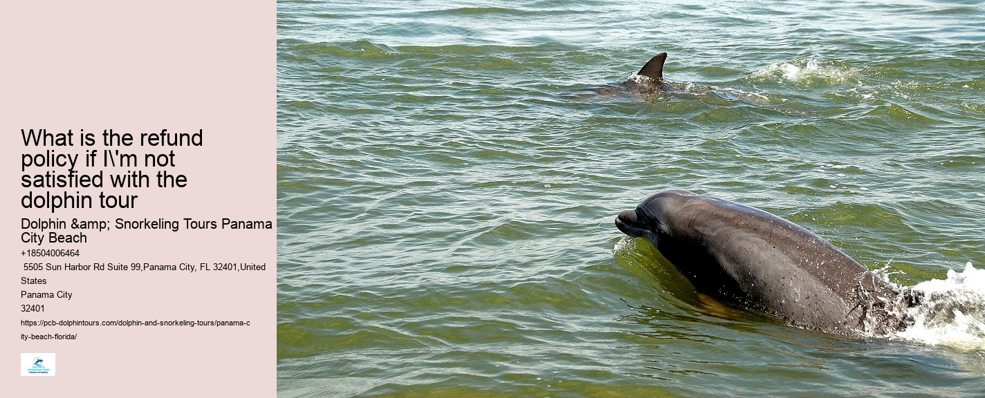 PCB Dolphin Discovery Cruises